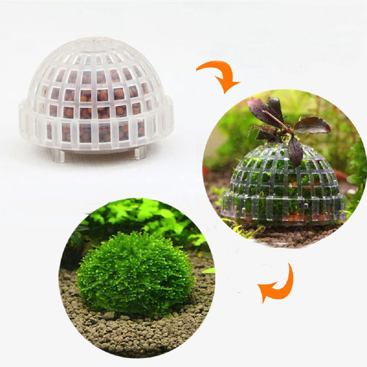 Aquarium Decoration Submerged Moss Ball Base with Filter Material - Jungle  Aquashrimp