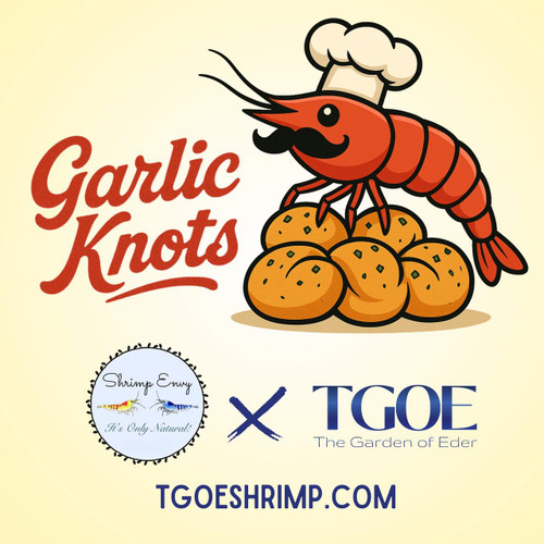 Shrimp Envy x TGOE Garlic Knots