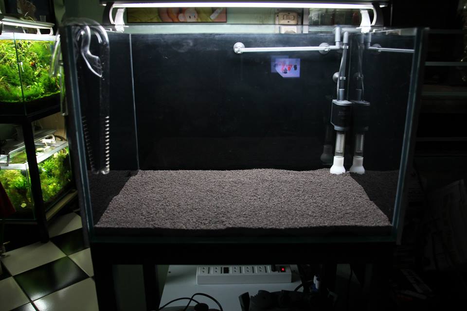 SETTING UP A CARIDINA TAIWAN BEE/CRYSTAL SHRIMPS TANK USING BENIBACHI