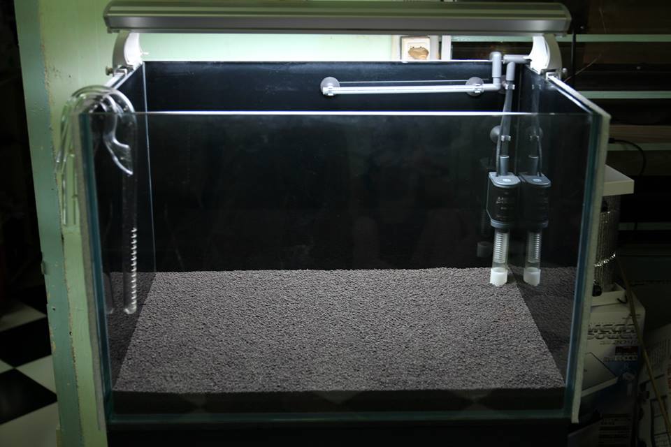 setting up shrimp tank setting up shrimp tank