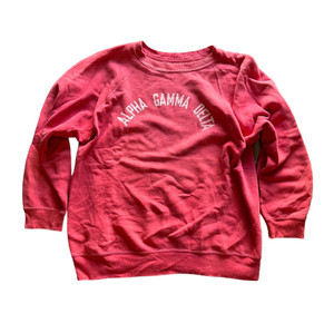 70's Alpha Gamma Delta Frat College Crewneck 