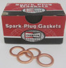 Champion Spark Plug Gasket - 100ct Box