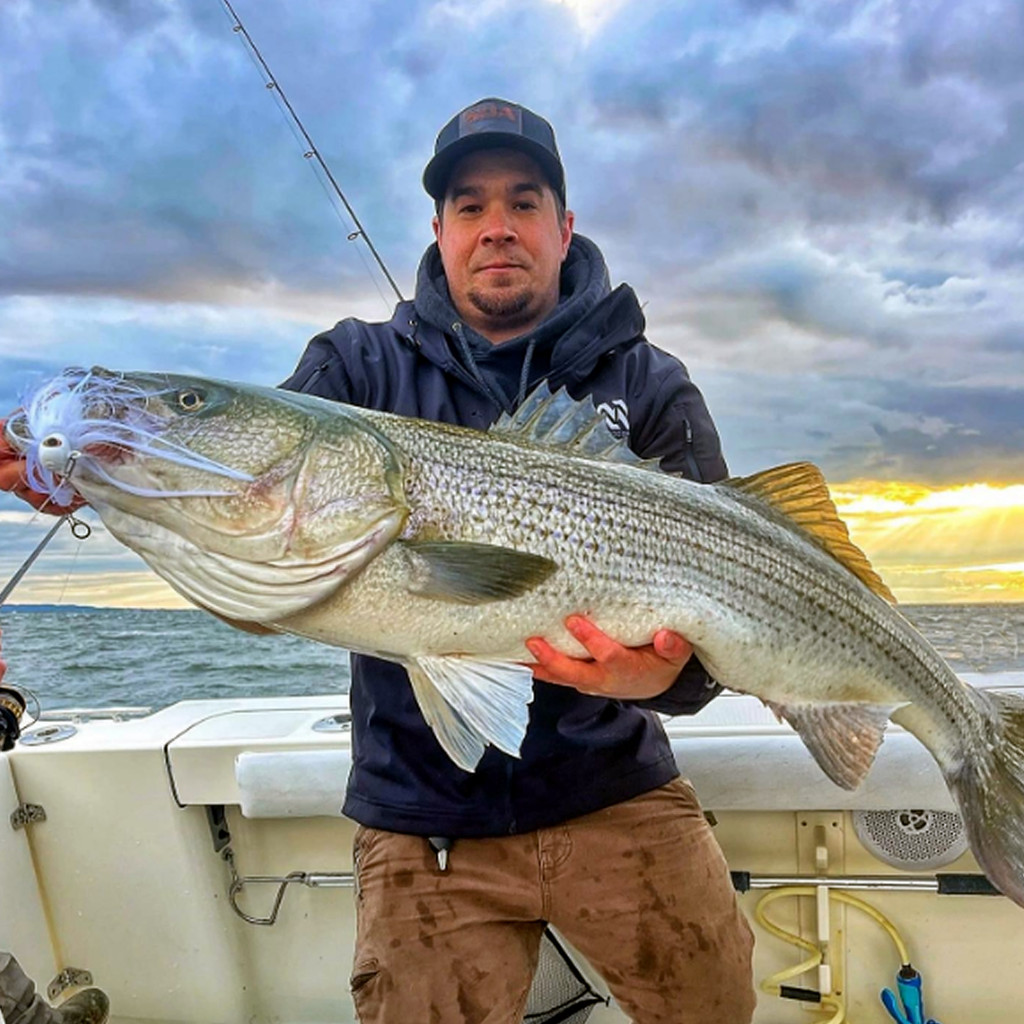 Black - Multi Pocket Soft Shell Fishing Jacket