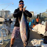 Bluefin Tuna - Fleece Hoodie - Hardcore Series