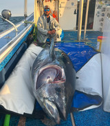 Sportfisher- PU/PVC Waterproof Fishing Jacket