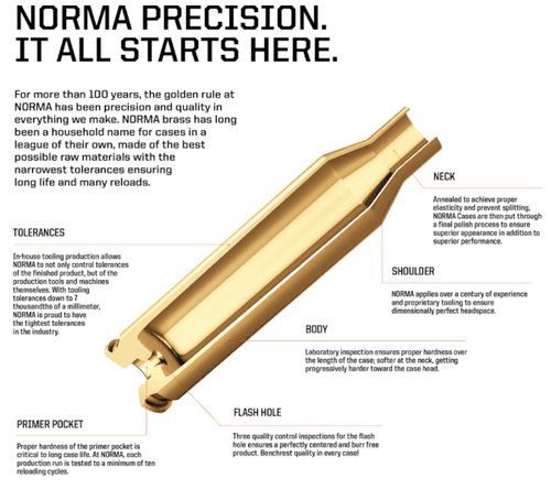 Norma 223 Remington Brass 100 count