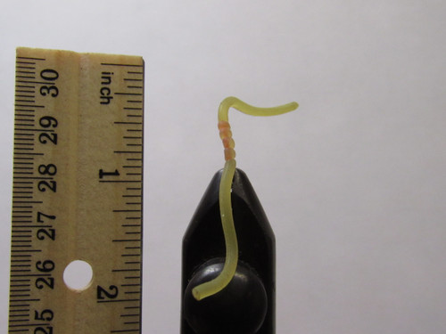 Sqworm Clear Orange Size #8