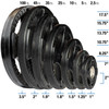 Body-Solid ORT Olympic Weight Plates
