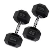 45 lb. Rubber Hex Dumbbell Pair, Shipping Included!