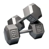 Iron Hex Dumbbell Pair