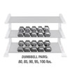 80-100 lb. Iron Hex Dumbbell Set