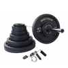 400 lb. Olympic Iron Plate Set, SHIPPING INCLUDED