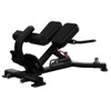 Nautilus Inspiration Adjustable Back Extension