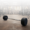 Body-Solid Tools Fixed Weight Straight Barbell Package