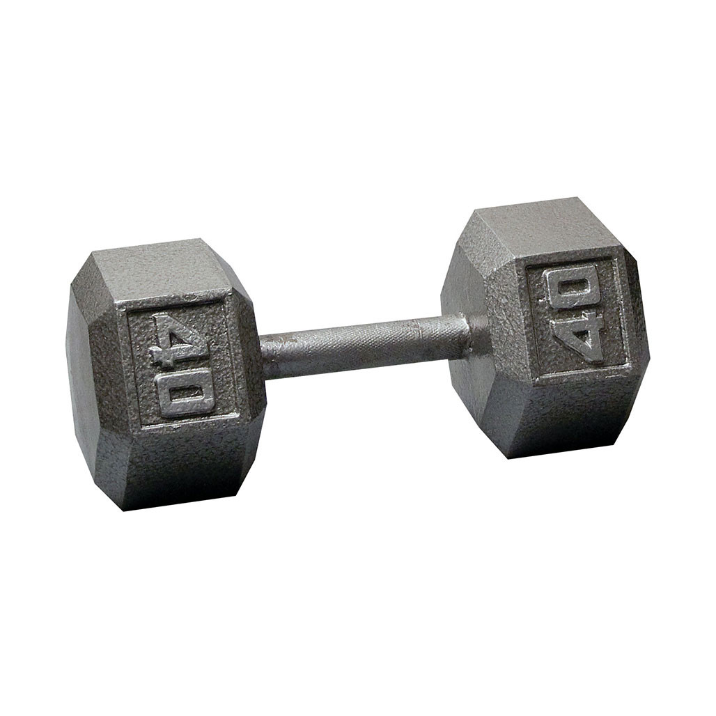 40 lb. Iron Hex Dumbbell Pair, Shipping Included! - FitnessFactory.com