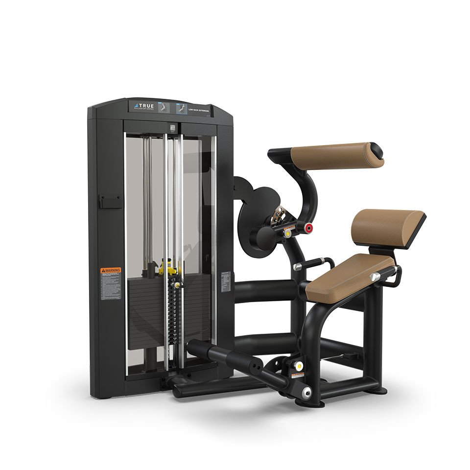 TRUE Fitness Palladium Series SPL-1300 Low Back Extension