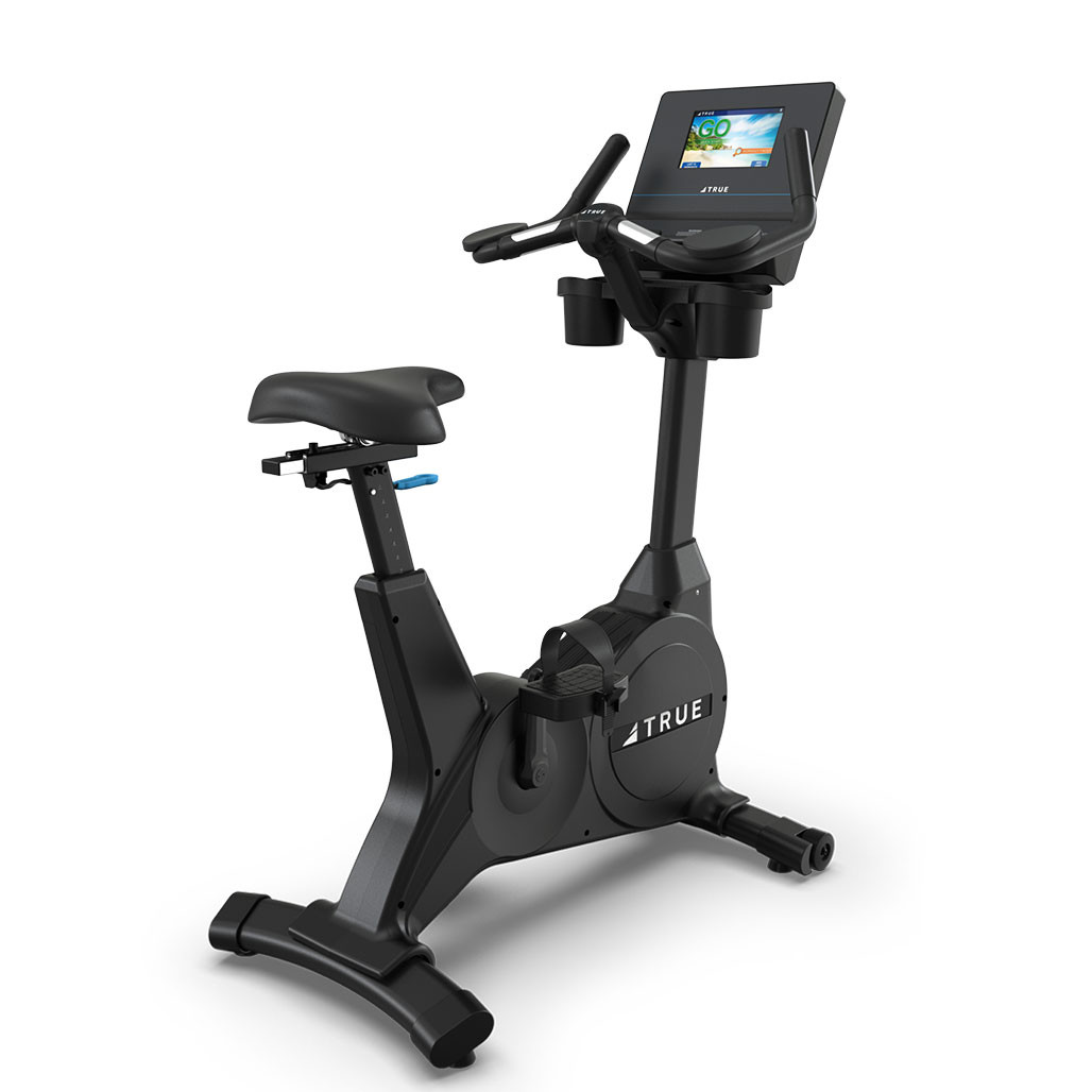 TRUE Performance Series Upright Bike