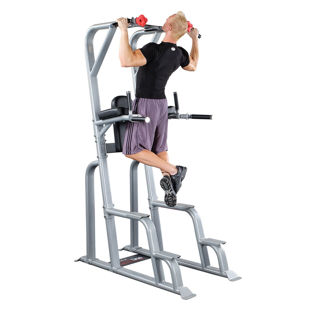 Pro ClubLine Vertical Knee Raise and Pull Up, Silver Finish