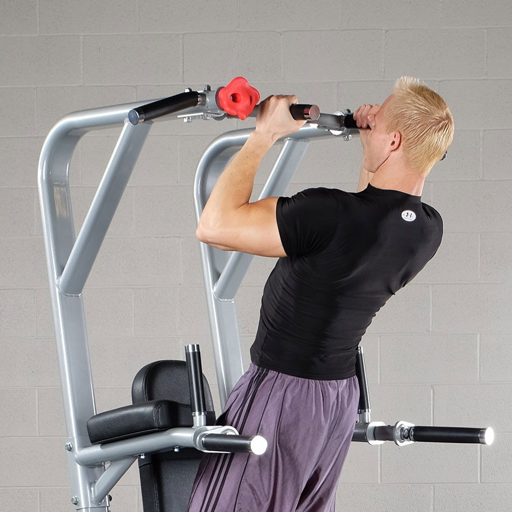 Pro ClubLine Vertical Knee Raise and Pull Up, Silver Finish