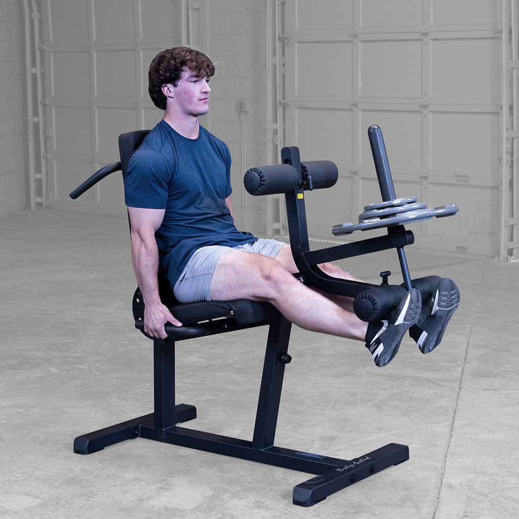 Leg Extension Curl Machine Dual Use