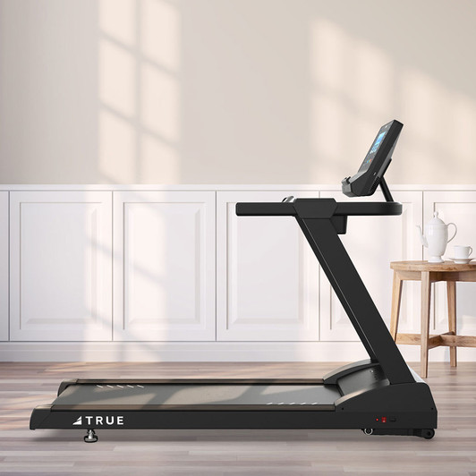 TRUE_Z500-in-home-20x16-b-