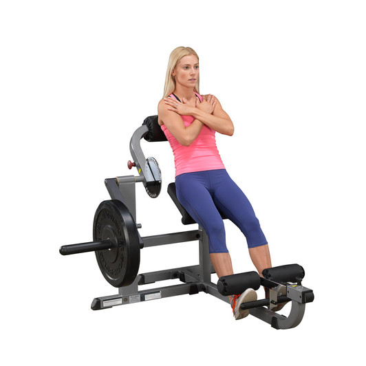 Body-Solid Dual Ab and Back Machine