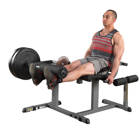 Body-Solid CAM Leg Extension Leg Curl Machine, SIlver