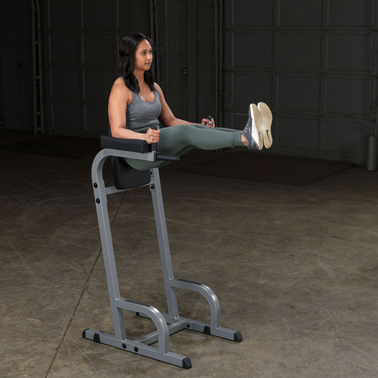 CORTEX PT-105 Commercial Power Tower Chin Up Dip Knee Raise – Lifespan  Fitness