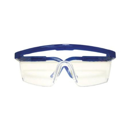 Lentes Protector Transparente