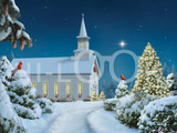 Holiday Christmas Theme Cleaning Cloth, Midnight Clear