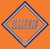 University of Illinois Collegiate Cleaning Cloth Fighting Illini belt kingfisher