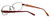 Close up View of Ernest Hemingway Progressive Blue Light Reading Glasses H4630-TOR Tortoise 53mm