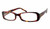 Profile View of Valerie Spencer Designer Blue Light Blocking Glasses 9217 Tortoise Unisex 51mm