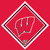 University of Wisconsin Cleaning Cloth