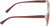 Medspex 8240 Jelly White Front/Wine+Black+Yellow Demi Pattern/Solid Green Temples Amber Orange Color Therapy Reading Glasses