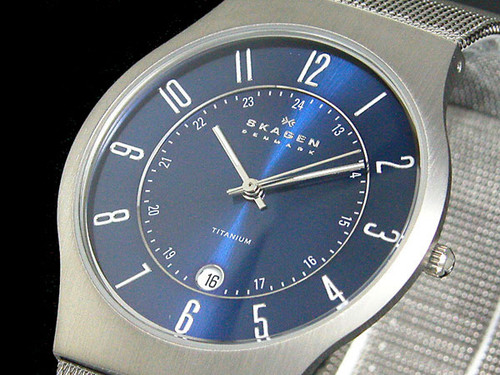 Skagen 233XLTTN -Titanium Mesh | Watches.com