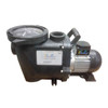 SunRay Solar Pool Pump DC Brushless- SOLFLO Pump Motor Showing Data - GPM - Head - Volts - numbers with ie =-P 104-42-180 BV