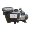 SunRay Solar Pool Pump DC Brushless- SOLFLO Pump Motor Showing Data - GPM - Head - Volts - numbers with ie =-P 62-42-105 BC