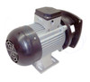 SunRay SolFlo3 Solar Replacement Pump Motor (Only) Conversion Solar Pool Pump 80GPM 55FT Head 180VDC Brushless Motor