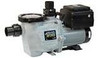 Waterway® Power Defender® 270 Variable Speed Pump SunRay Solar Powered Motor and Seal Kit