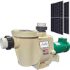 SunRay 1HP Solar Pool Pump - Right side with solar panles viewpoint.