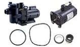Jandy® FHP Series® SunRay Solar Powered Replacement Motors & Seal Kits