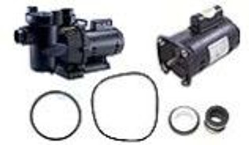 Jandy® FHP Series®  SunRay Solar Powered Replacement Motors & Seal Kits
