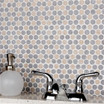 Hali Pennies Porcelain Mosaic