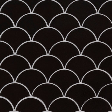 Seashell - Black Magic 