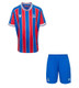25/26 Crystal Palace Home Kids Kit with free name and number