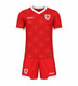 26/27 Wales Home Kids Kit with free name and number