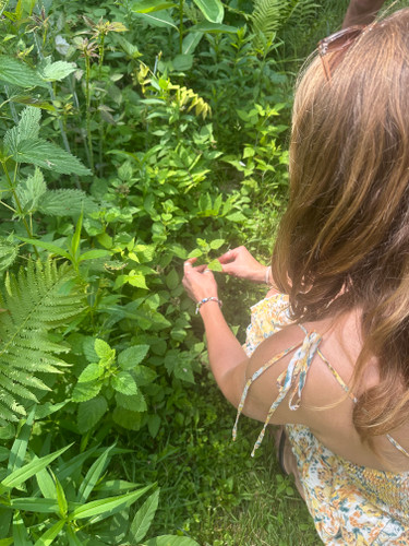 LET YOUR SOUL Shine! Plus, Mood Sale Details