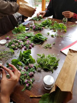 COMING SOON! Herbal Day in the Catskills: Saturday, May 30th