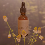 Chamomile Elixir